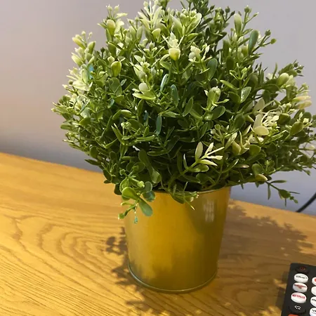 Sahara 3,5 Z Balkon Smart Tv Kueche Wama دوسبرغ